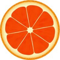 grapefruit for the Dukan diet